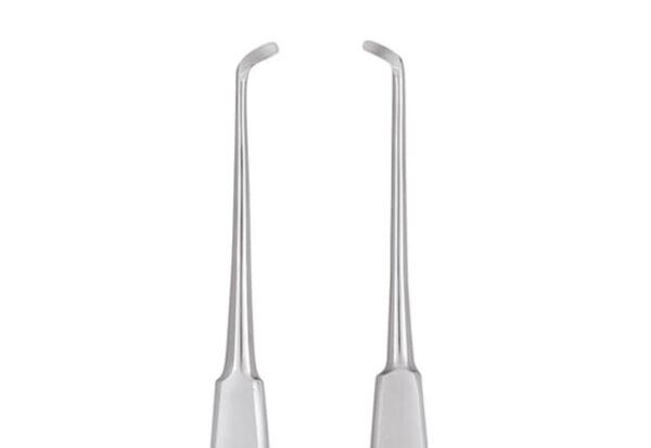 Warwick James Right & Left