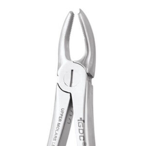 Upper Molar Left No.18E