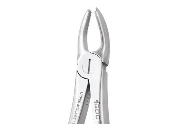 Upper Molar Left No.18E