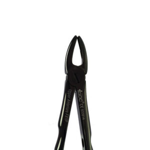Upper Anterior FX1B