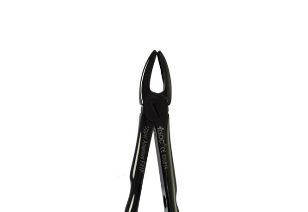 Upper Anterior FX1B