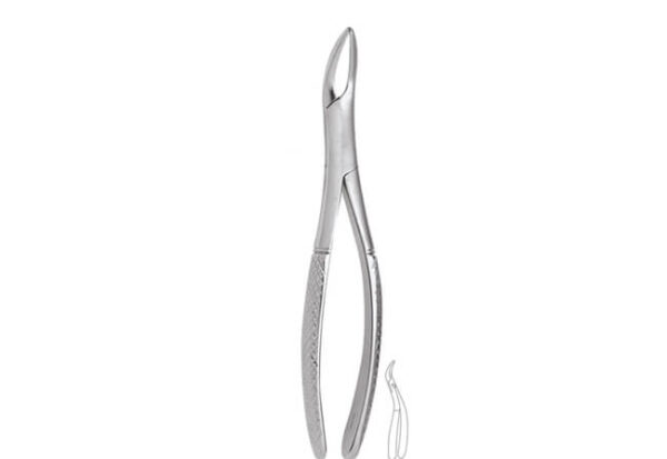 Universal Upper Root