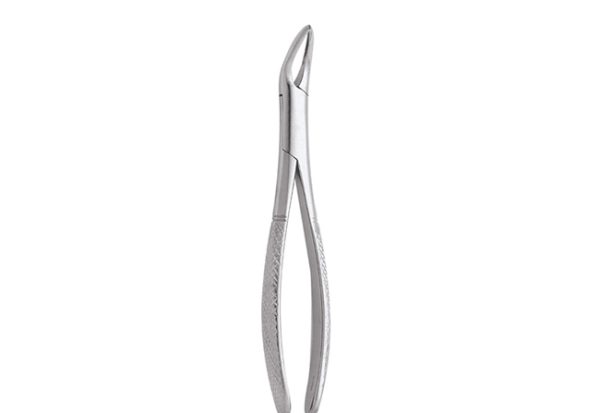 Universal Lower Root