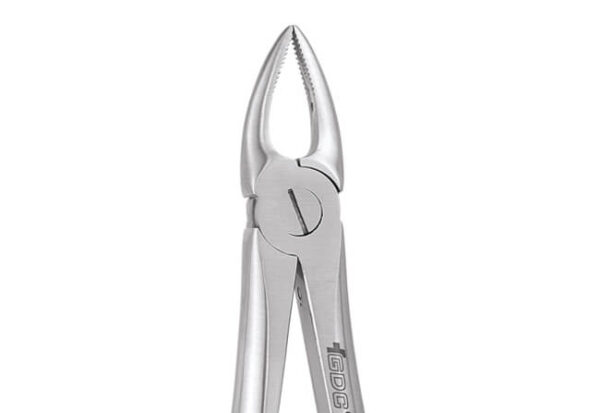 Upper Root Narrow No. 29NS