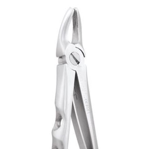 Upper Premolar FX4CP
