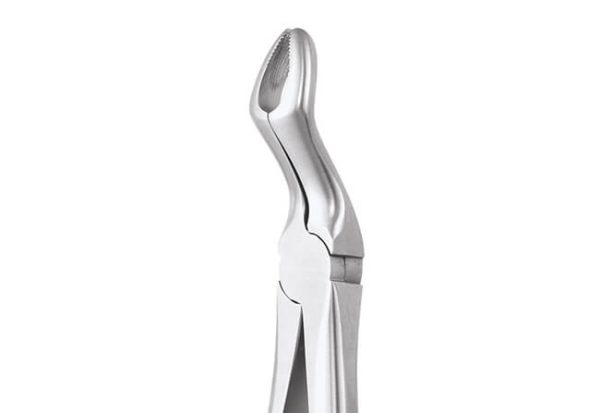 Upper Third Molar No. 67A