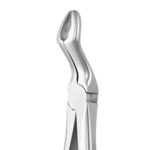Upper Third Molar No. 67AE