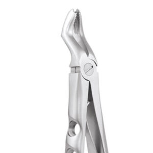 Upper Molar FX6CP