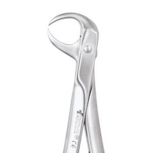 Lower Molar No. 86E
