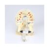 Mixed Dentition Pathology Model - Image 4