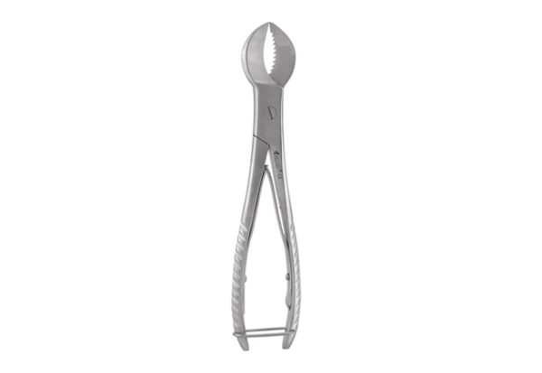 Plaster Shears