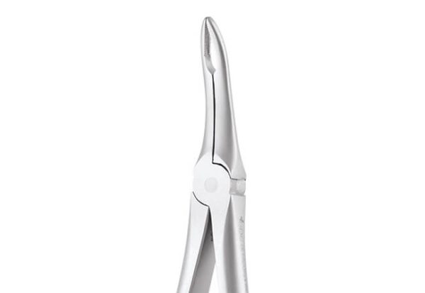 Upper Root No. 849.00