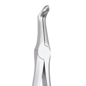 Lower Root No. 945.00