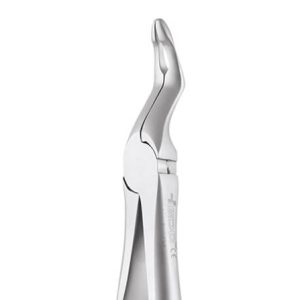 Upper Root No. 951.00