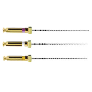 Dentsply Path File 21mm.