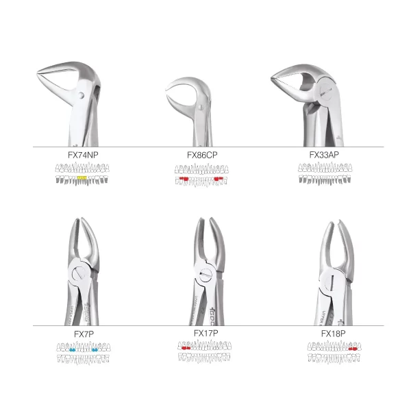 Extraction Forceps Premium In Pouch EFPP12 - Image 6