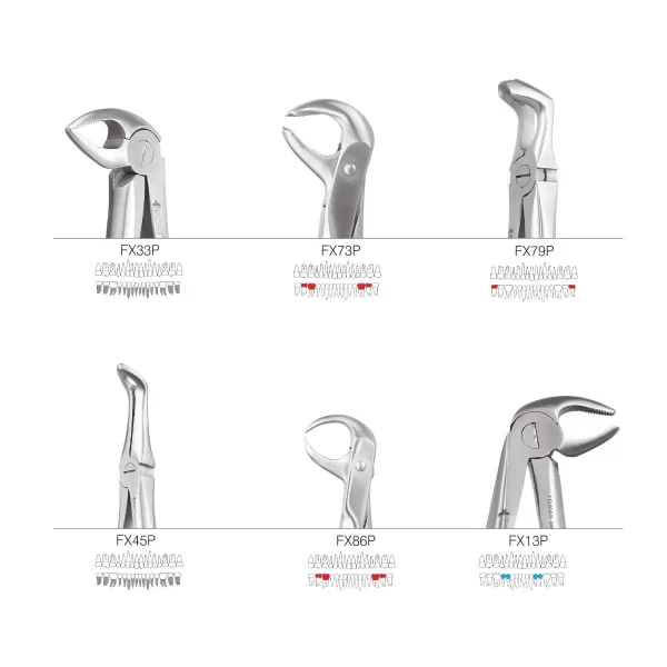 Extraction Forceps Premium In Pouch EFPP12 - Image 8