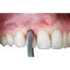 Extraction Forceps Premium In Pouch EFPP12 - Image 2