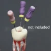 Identical Root Canal (RCT) Practice Tooth - Image 8