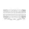 Identical Typodonts For Nissin Type Jaw Set -Individual M8024 - Image 3
