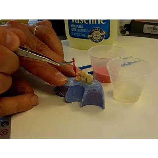 GC Pattern Resin 1-1 Package - Image 3
